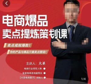 大圣·电商标品爆款卖点策划课，标品卖点成就爆款，可落地卖点提炼课-一号资源库
