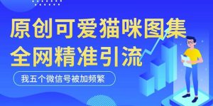 黑科技纯原创可爱猫咪图片，全网精准引流，实操5个VX号被加频繁-一号资源库