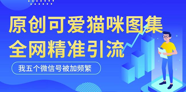 黑科技纯原创可爱猫咪图片,全网精准引流,实操5个VX号被加频繁