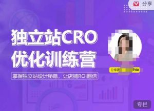独立站CRO优化训练营,掌握独立站设计秘籍,打造高转化的独立站,让店铺ROI翻倍-一号资源库