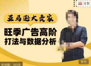 阿甘·亚马逊大卖家广告高阶打法与数据分析，走出传统广告误区；揭秘大卖惯用打法；数据驱动广告决策-一号资源库