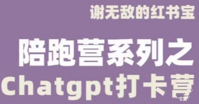 谢无敌ChatGPT打卡营,教你更好地使用ChatGPT来提高工作效率