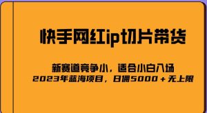 2023爆火的快手网红IP切片，号称日佣5000＋的蓝海项目，二驴的独家授权-一号资源库