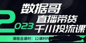 数据哥2023直播电商巨量千川付费投流实操课，快速掌握直播带货运营投放策略-一号资源库