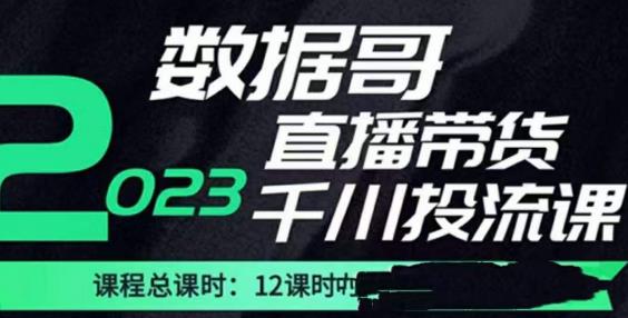 数据哥2023直播电商巨量千川付费投流实操课，快速掌握直播带货运营投放策略-一号资源库