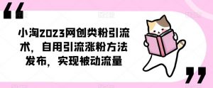 ​小淘2023网创类粉引流术，自用引流涨粉方法发布，实现被动流量-一号资源库