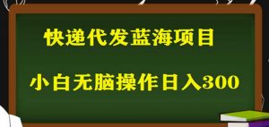 2023最新蓝海快递代发项目，小白零成本照抄也能日入300+-一号资源库