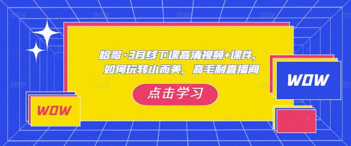 哈哥·3月线下实操课高清视频+课件,如何玩转小而美,高毛利直播间-一号资源库
