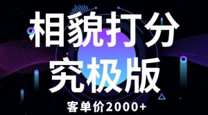 相貌打分究极版，客单价2000+纯新手小白就可操作的项目-一号资源库