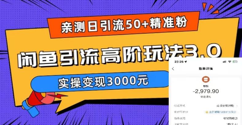 亲测日引50+精准粉，闲鱼引流高阶玩法3.0，实操变现3000元【揭秘】-一号资源库