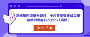 正规暴利流量卡项目,小白零基础零成本无脑照抄也能日入300+【揭秘】-一号资源库