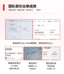 2023小红书电商火爆全网,新晋红利,风口项目,单店收益在3000-30000!-一号资源库