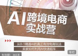 白龙老师·AI跨境电商实战营：从0-1精通Al的真正有效电商玩法，卖家如何利用Al快速超车-一号资源库