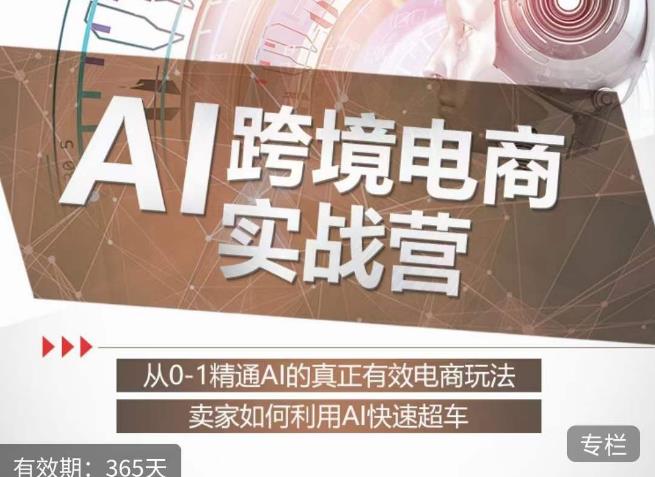 白龙老师·AI跨境电商实战营：从0-1精通Al的真正有效电商玩法，卖家如何利用Al快速超车-一号资源库
