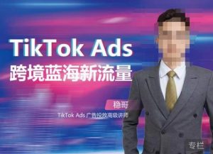 稳哥·如何投出高ROI的TikTok广告，开拓独立站卖家流量新蓝海-一号资源库