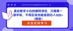 适合新手小白的搬砖项目，只需要一部手机、不用引流也能做到日入300+【揭秘】-一号资源库