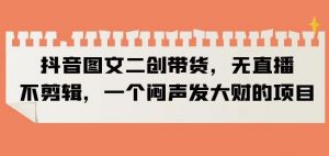 抖音图文二创带货，无直播，不剪辑，一个闷声发大财的项目【揭秘】-一号资源库