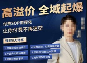 逸风-拼多多高溢价全域起爆，6大课程体系，付费玩法全套实操-一号资源库