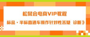 松鼠会电商VIP教程：松鼠《付费推广标品·半标直通车操作针对性答疑&诊断》-一号资源库