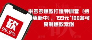 拼多多爆款打造特训营（持续更新中)，199元*100套可复制爆款案例-一号资源库