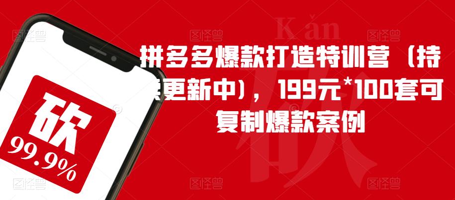 拼多多爆款打造特训营（持续更新中)，199元*100套可复制爆款案例-一号资源库
