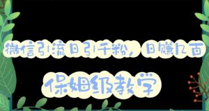 微信互推圈半自动引流方案,矩阵操作日引千人思路【详细视频教程】-一号资源库