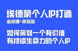 埃德蒙普通人都能起飞的个人IP策划课，如何策划一个优质个人IP-一号资源库