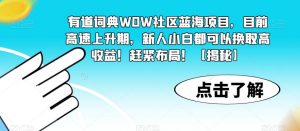 有道词典WOW社区蓝海项目，目前高速上升期，新人小白都可以换取高收益！赶紧布局！【揭秘】-一号资源库