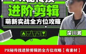 PR进阶剪辑培训班，让你快速成为剪辑大师12节视频课程+素材！-一号资源库