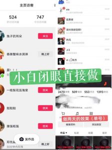 一天做完别一辈子的视频制作最近很火的《1000个野路子信息差》100%过原创【揭秘】-一号资源库