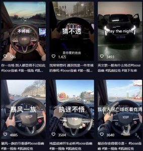 抖音开车视频项目，0基础操作，每天五分钟，月入1W+【揭秘】-一号资源库