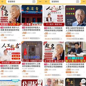 拆解小红书宝宝起名虚拟副业项目，一条龙实操玩法分享给你（教程+软件）-一号资源库