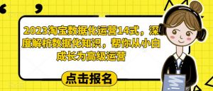 2023淘宝数据化运营14式,深度解析数据化知识,帮你从小白成长为高级运营-一号资源库
