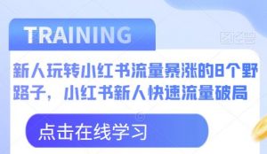 新人玩转小红书流量暴涨的8个野路子,小红书新人快速流量破局-一号资源库