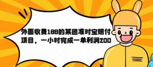 外面收费188的美团准时宝赔付项目，一小时完成一单利润200【仅揭秘】-一号资源库
