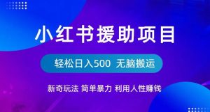 小红书援助项目新奇玩法，简单暴力，无脑搬运轻松日入500【揭秘】-一号资源库
