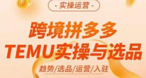 伍跃·跨境拼多多TEMU实操与选品，​趋势/选品/运营/入住（27节完整）-一号资源库
