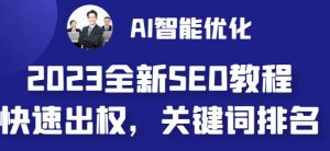 2023最新网站AI智能优化SEO教程,简单快速出权重,AI自动写文章+AI绘画配图-一号资源库