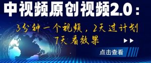 中视频原创视频2.0：3分钟一个视频，2天过计划，7天看效果【揭秘】-一号资源库
