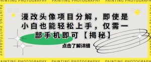 漫改头像项目分解，即使是小白也能轻松上手，仅需一部手机即可【揭秘】-一号资源库