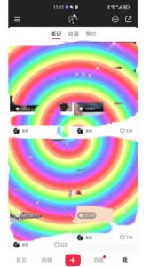 冷门高利润项目，小红书带货，无脑搬运，一部手机实现日入500+【揭秘】-一号资源库