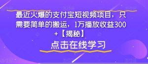 最近火爆的支付宝短视频项目，只需要简单的搬运，1万播放收益300+【揭秘】-一号资源库