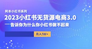阿本小红书无货源电商3.0，告诉你为什么你小红书做不起来-一号资源库