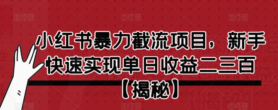 小红书暴力截流项目，新手快速实现单日收益二三百【仅揭秘】-一号资源库