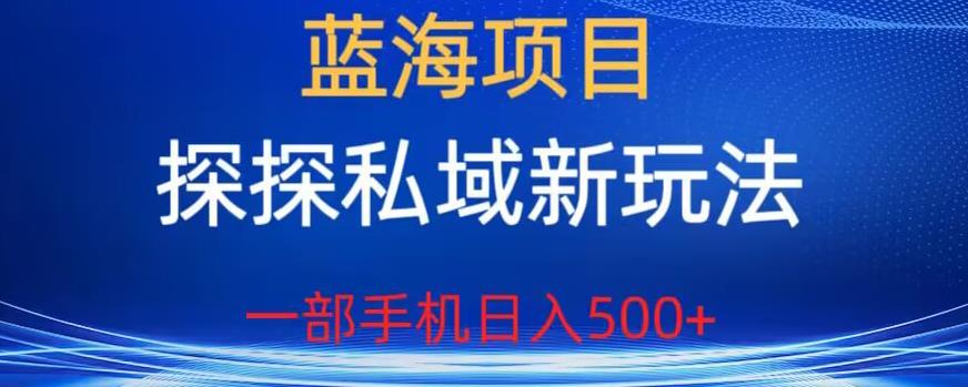 蓝海项目，探探私域新玩法，一部手机日入500+很轻松【揭秘】-一号资源库