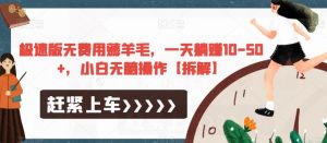 极速版无费用薅羊毛，一天躺赚10-50+，小白无脑操作【拆解】-一号资源库