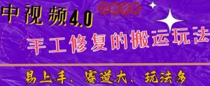 中视频4.0赛道：新手福音，一小时制作，三天过计划，7天看效果【揭秘】-一号资源库
