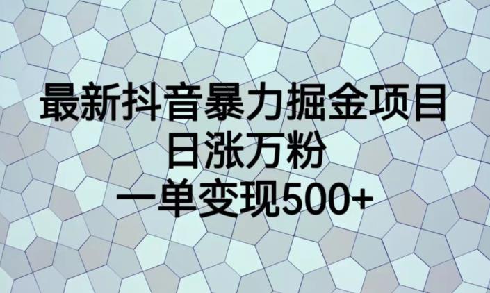 最新抖音暴力掘金项目，日涨万粉，一单变现500+【揭秘】-一号资源库