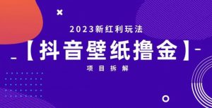 抖音壁纸小程序创作者撸金项目，2023新红利玩法【项目拆解】-一号资源库
