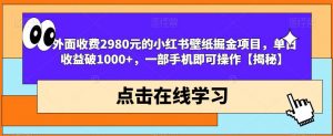 外面收费2980元的小红书壁纸掘金项目，单日收益破1000+，一部手机即可操作【揭秘】-一号资源库